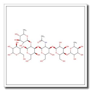 Lacto-N-difucohexaose IV