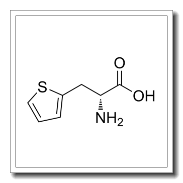 (2R)-2-amino-3-thiophen-2-ylpropanoic acid CAS 62561-76-6