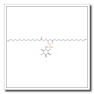 L-a-Phosphatidyl-(1,2-dipalmitoyl)-D-myo-inositol