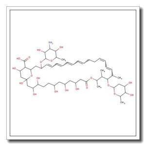 Nystatin A3