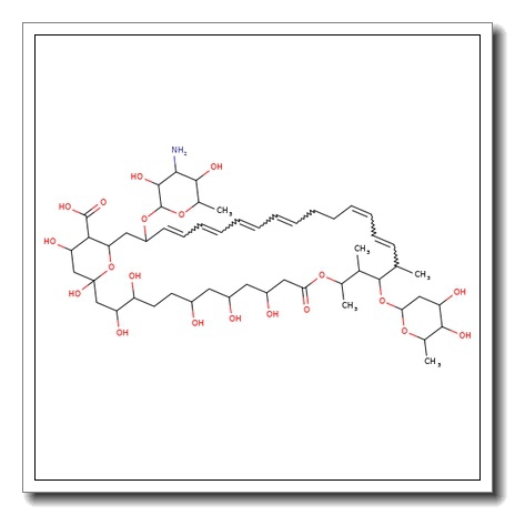 Nystatin A3