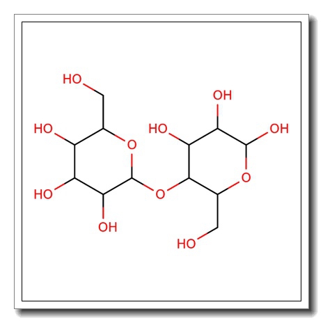Lactose – anhydrous
