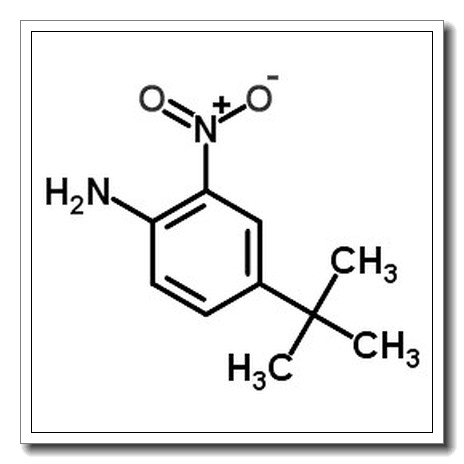 4-(Tert-Butyl)-2-Nitroaniline CAS 6310-19-6 