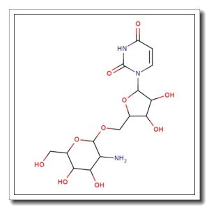 5′-O-(2-Amino-2-deoxy-b-D-glucopyranosyl)-uridine