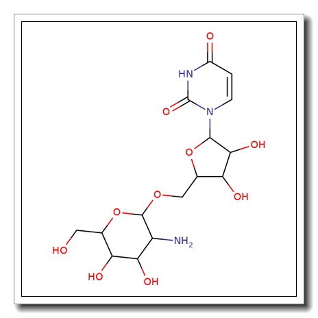 5′-O-(2-Amino-2-deoxy-b-D-glucopyranosyl)-uridine