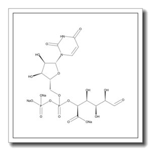 UDP-葡萄醛酸三钠盐
