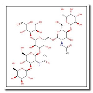 Lacto-N-hexaose