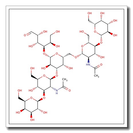 Lacto-N-hexaose