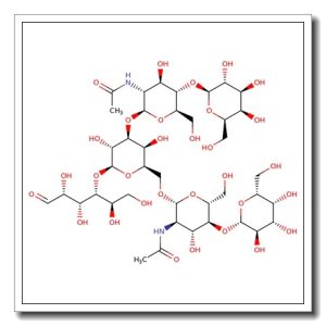 Lacto-N-neohexaose