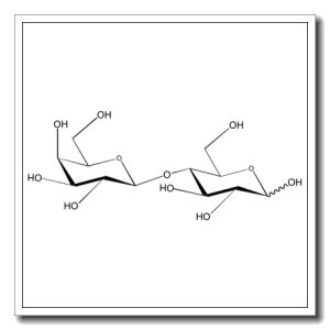 Lactose SPRAY-DRIED