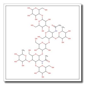 Difucosyl-para-lacto-N-hexaose III
