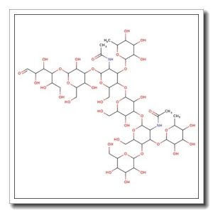 Difucosyllacto-N-hexaose (b)