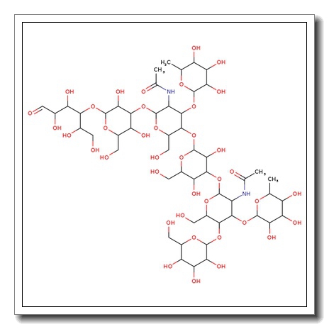 Difucosyllacto-N-hexaose (b)