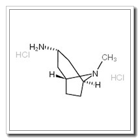 8-Methyl-8-azabicyclo[3.2.1]octan-3-amine dihydrochloride CAS 646477-45-4 