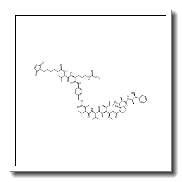 vc-mmae CAS 646502-53-6