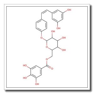 Resveratrol-4’-O-(6”-galloyl)glucoside