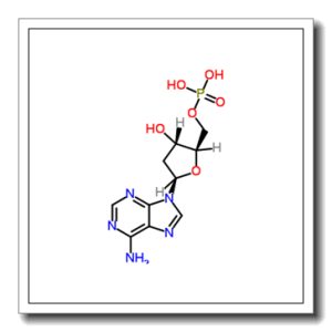 2′-脱氧腺苷-5′-单磷酸
