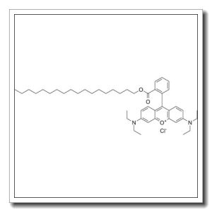 [6-(diethylamino)-9-(2-octadecoxycarbonylphenyl)xanthen-3-ylidene]-diethylazanium,chloride