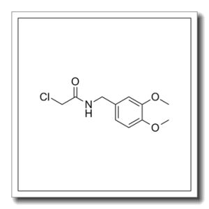 2-氯-n-(3,4-二甲氧基苄基)乙酰胺
