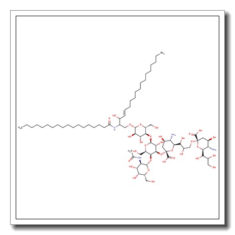 GD2-Ganglioside