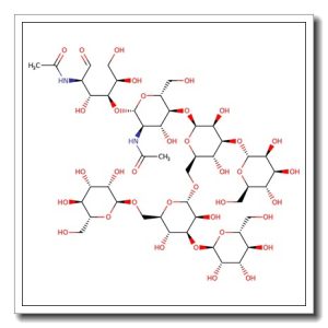 Man-5 N-Glycan