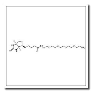 N-(14-Amino-3,6,9,12-tetraoxatetradec-1-yl)-5-[(3aS,4S,6aR)-2-oxohexahydro-1H-thieno[3,4-d]imidazol-4-yl]pentanamide