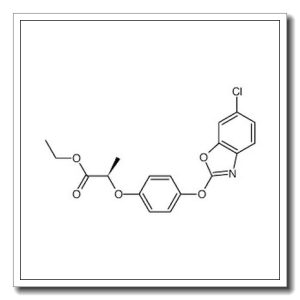 噁唑禾草灵