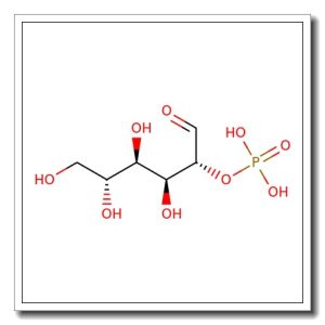 D-Glucose 3-sulfate sodium salt