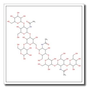 iso-Lacto-N-neooctaose