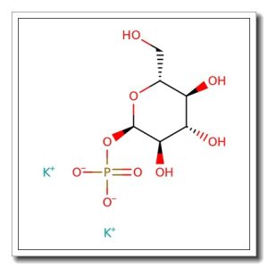 a-D-[UL-13C6]Glucose-1-phosphate dipotassium salt hydrate