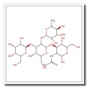 Blood Group B type I tetrasaccharide