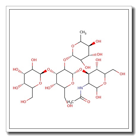 Blood Group B type I tetrasaccharide