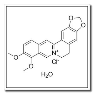 盐酸小檗碱水合物