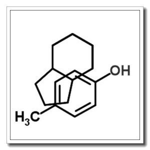 聚(双环戊二烯-co-对-甲酚)