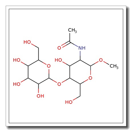 Methyl b-N-acetyllactosamine