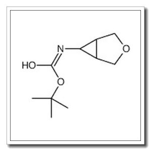 3-噁双环[3.1.0]-6-己基氨基甲酸叔丁酯