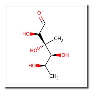 6-Deoxy-3-C-methyl-D-gulose