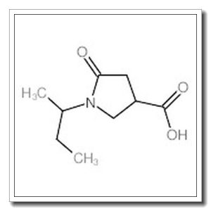 1-(1-甲基丙基)-5-氧代-3-吡咯烷羧酸