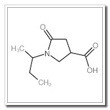 1-(1-甲基丙基)-5-氧代-3-吡咯烷羧酸