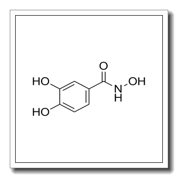 N,3,4-trihydroxybenzamide CAS 69839-83-4