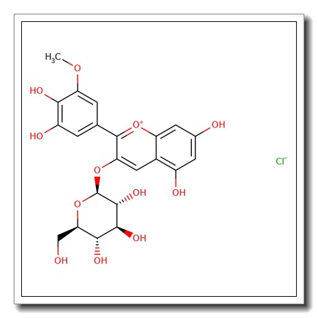 Petunidin 3-glucoside chloride