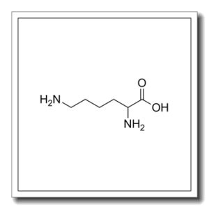 DL-赖氨酸