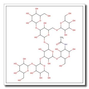 Man6GlcNAc (I)