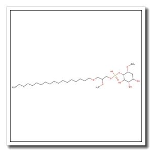 Phosphatidyl 1-(3-deoxy-2-O-methyl-D-myo-inositol)