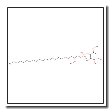 Phosphatidyl 1-(3-deoxy-2-O-methyl-D-myo-inositol)