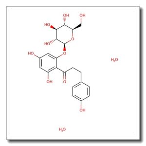 Phloridzin dihydrate