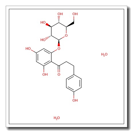 Phloridzin dihydrate