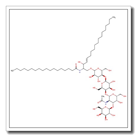 GA1-Ganglioside
