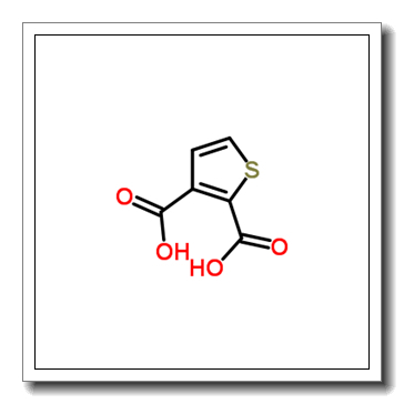 噻吩-2,3-二羧酸