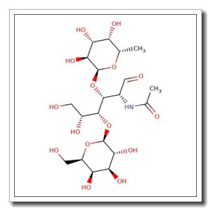 Lewis X trisaccharide